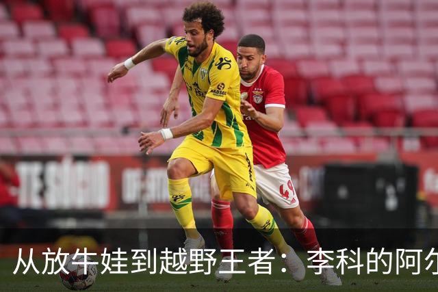 从放牛娃到越野王者：李科的阿尔卑斯传奇